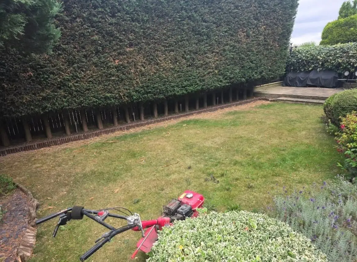 maintenance 2 - MBL Landscapes